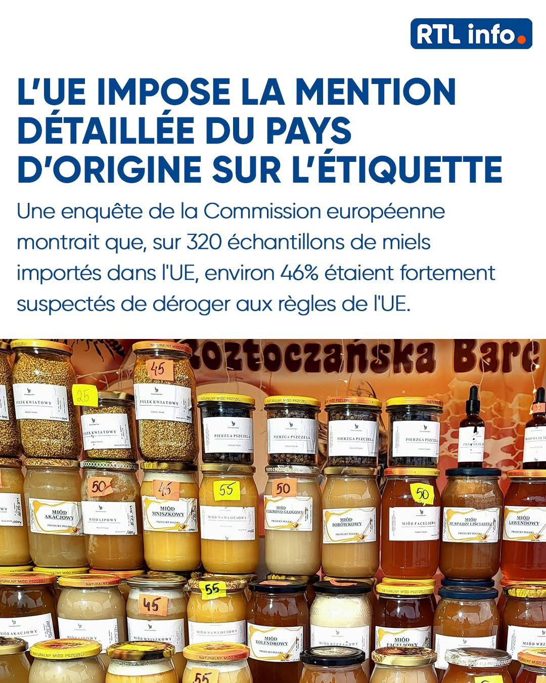Carrousel Instagram 4, image 2